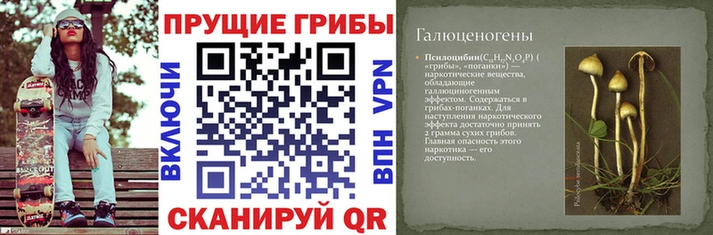 Галлюциногенные грибы прущие грибы  Талица 